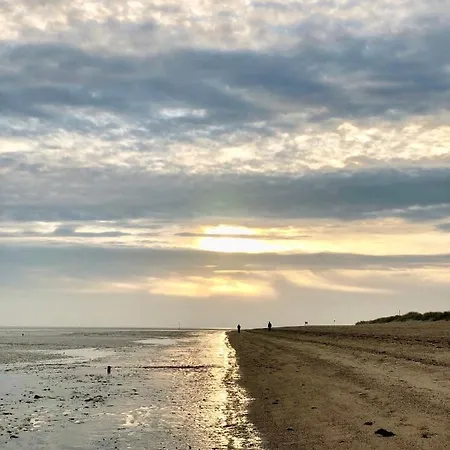 Apartment 50 3 N Nordkoje Schillig